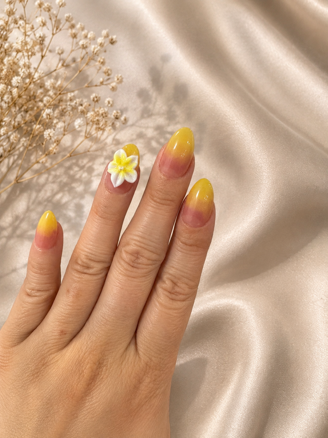 Aurora Blossom